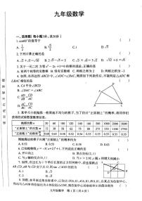 河南省洛阳市宜阳县2025-2026学年九年级上学期期末考试数学试题