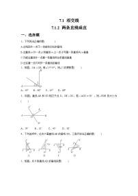初中数学人教版（2024）七年级下册（2024）两条直线垂直课时作业