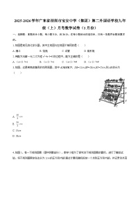 2025-2026学年广东省深圳市宝安中学（集团）第二外国语学校九年级（上）月考数学试卷（1月份）-自定义类型