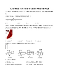 四川省南充市2025-2026学年七年级上学期期末数学试题-自定义类型