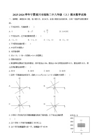 2025-2026学年宁夏银川市阅海二中八年级（上）期末数学试卷-自定义类型