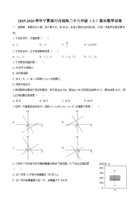 2025-2026学年宁夏银川市阅海二中八年级（上）期末数学试卷-自定义类型