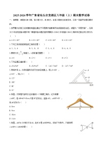 2025-2026学年广东省汕头市龙湖区八年级（上）期末数学试卷-自定义类型