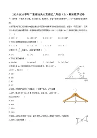 2025-2026学年广东省汕头市龙湖区八年级（上）期末数学试卷-自定义类型