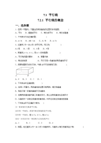 人教版（2024）七年级下册（2024）平行线的概念课时训练