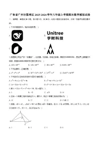广东省广州市荔湾区2025-2026学年八年级上学期期末数学模拟试卷（含答案+解析）
