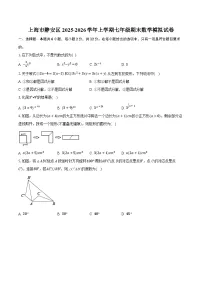上海市静安区2025-2026学年上学期七年级期末数学模拟试卷（含答案+解析）