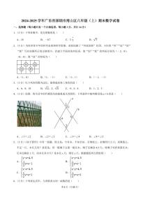 2024-2025学年深圳市南山区八年级上册期末数学试卷及答案
