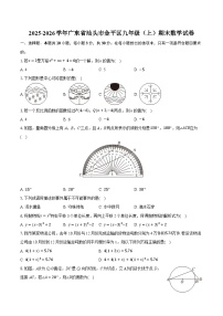 2025-2026学年广东省汕头市金平区九年级（上）期末数学试卷（含答案+解析）