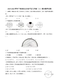 2025-2026学年广东省汕头市金平区九年级（上）期末数学试卷（含答案+解析）