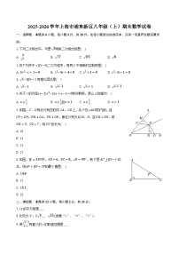 2025-2026学年上海市浦东新区八年级（上）期末数学试卷（含答案+解析）