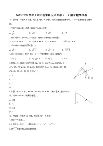 2025-2026学年上海市浦东新区八年级（上）期末数学试卷（含答案+解析）