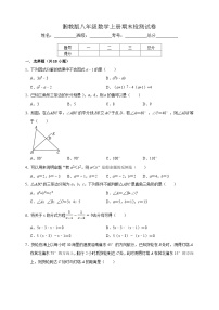 最新湘教版新教材八年级数学上册期末检测模拟试卷1（含解析）