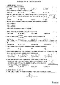 广东省梅州市梅县区2024-2025学年八年级上学期期末考试数学试卷