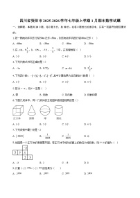 四川省资阳市2025-2026学年七年级上学期1月期末数学试题-自定义类型