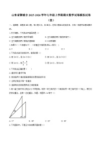 山东省聊城市2025-2026学年七年级上学期期末数学试卷模拟试卷（四）-自定义类型