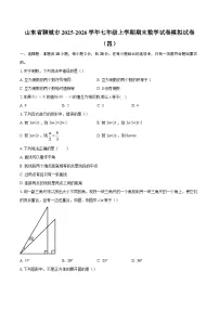 山东省聊城市2025-2026学年七年级上学期期末数学试卷模拟试卷（四）-自定义类型