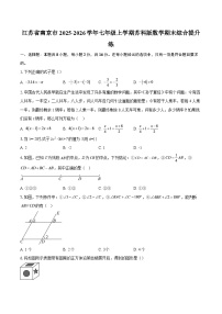 江苏省南京市2025-2026学年七年级上学期苏科版数学期末综合提升练-自定义类型