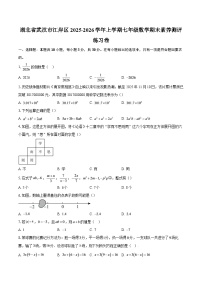 湖北省武汉市江岸区2025-2026学年上学期七年级数学期末素养测评练习卷-自定义类型