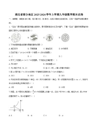湖北省部分地区2025-2026学年上学期九年级数学期末试卷-自定义类型