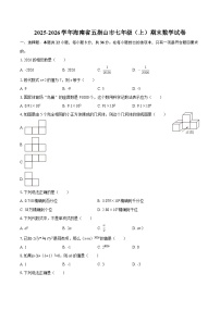 2025-2026学年海南省五指山市七年级（上）期末数学试卷-自定义类型