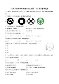 2025-2026学年广西南宁市九年级（上）期末数学试卷-自定义类型