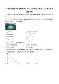广东省深圳新华中学教育集团2025-2026学年上学期1月月考九年级数学试卷-自定义类型