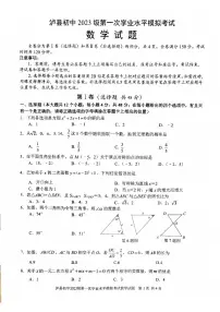 四川省泸州市泸县2026年中考一模数学_(含答案_)试题