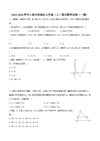 2025-2026学年上海市黄浦区九年级（上）期末数学试卷（一模） （含答案+解析）