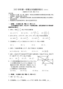 上海市奉贤区2025学年九年级数学一模试卷（含答案解析）