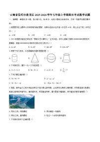 云南省昆明市盘龙区2025-2026学年七年级上学期期末考试数学试题-自定义类型