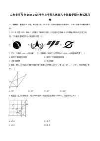 山东省乐陵市2025-2026学年上学期人教版九年级数学期末测试练习卷-自定义类型