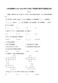 山东省聊城市2025-2026学年七年级上学期期末数学试卷模拟试卷（三）-自定义类型