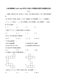 山东省聊城市2025-2026学年七年级上学期期末数学试卷模拟试卷（三）-自定义类型