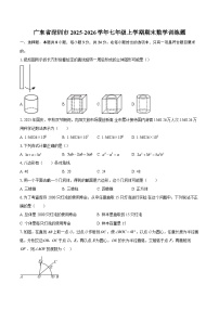 广东省深圳市2025-2026学年七年级上学期期末数学训练题-自定义类型