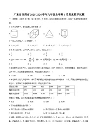 广东省深圳市2025-2026学年九年级上学期1月期末数学试题-自定义类型