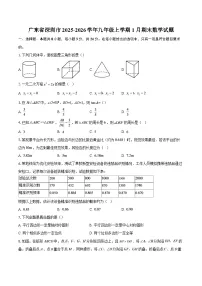 广东省深圳市2025-2026学年九年级上学期1月期末数学试题-自定义类型