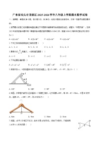 广东省汕头市龙湖区2025-2026学年八年级上学期期末数学试卷-自定义类型