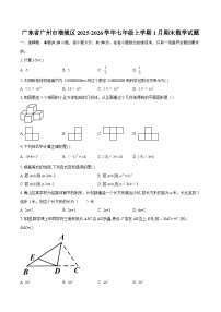 广东省广州市增城区2025-2026学年七年级上学期1月期末数学试题-自定义类型