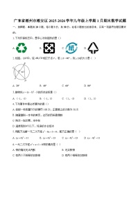 广东省潮州市潮安区2025-2026学年九年级上学期1月期末数学试题-自定义类型