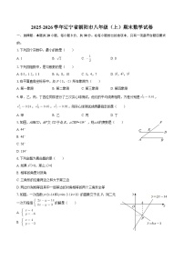 2025-2026学年辽宁省朝阳市八年级（上）期末数学试卷-自定义类型