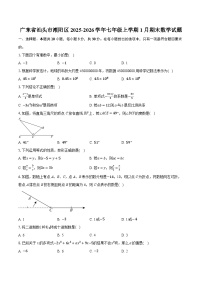广东省汕头市潮阳区2025-2026学年七年级上学期1月期末数学试题（含答案+解析）