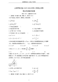 2025-2026学年上海市松江区八年级上学期期末考试数学试卷（学生版）