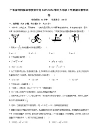 广东省深圳实验学校初中部2025-2026学年九年级上学期期末数学试卷（原卷版+解析版）