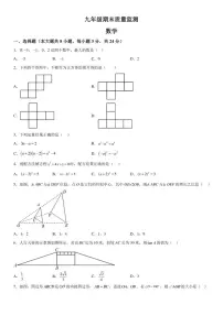 吉林省长春市宽城区2025-2026学年九年级（上）期末数学试卷（含答案）