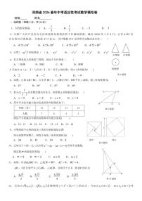 河南省2026春年中考适应性考试数学模拟卷（含答案）