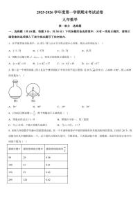 辽宁省铁岭市西丰县2025-2026学年九年级上学期期末数学试卷（含答案）