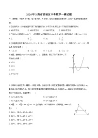 2026年上海市黄浦区中考数学一模试题-自定义类型