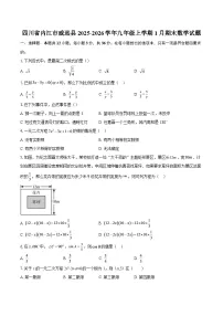 四川省内江市威远县2025-2026学年九年级上学期1月期末数学试题-自定义类型