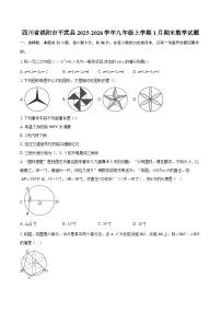 四川省绵阳市平武县2025-2026学年九年级上学期1月期末数学试题-自定义类型